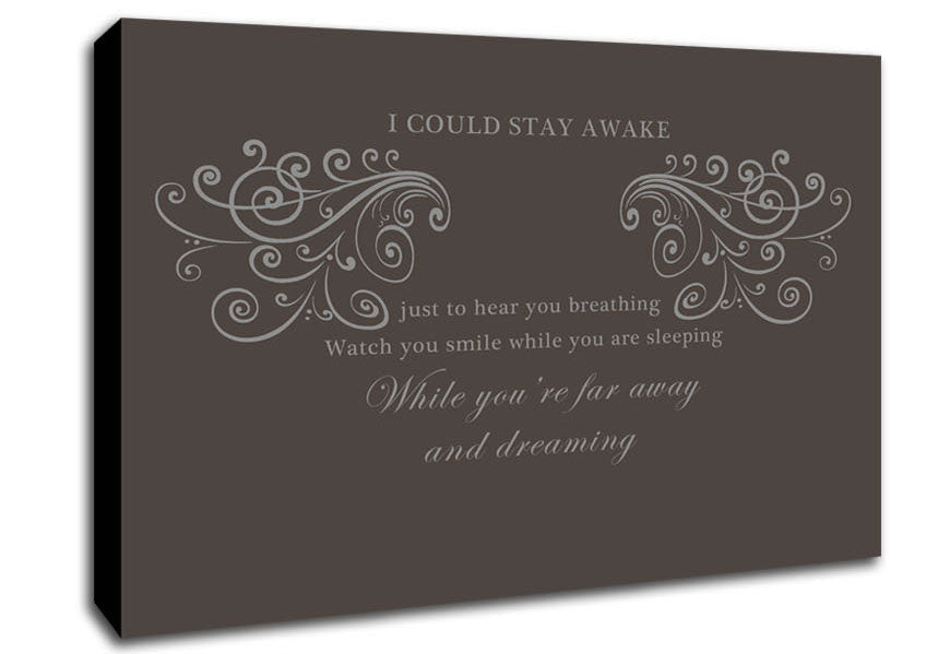 Music Quote I Could Stay Awake Aerosmith Chocolate Canvas Wall Art