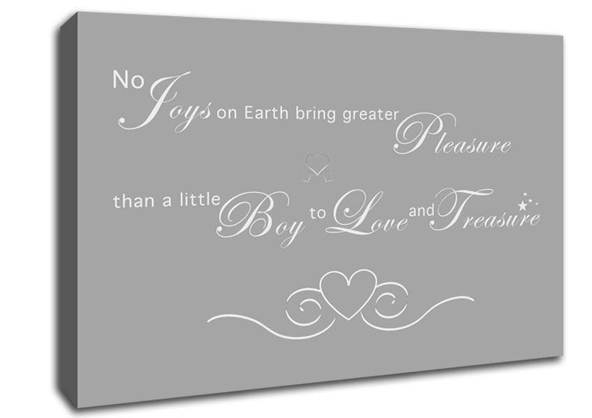 Boys Room Quote No Joys On Earth Bring Pleasure Grey White Canvas Wall Art
