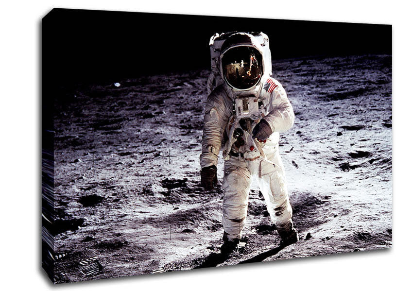 Spaceman On The Moon Canvas Wall Art