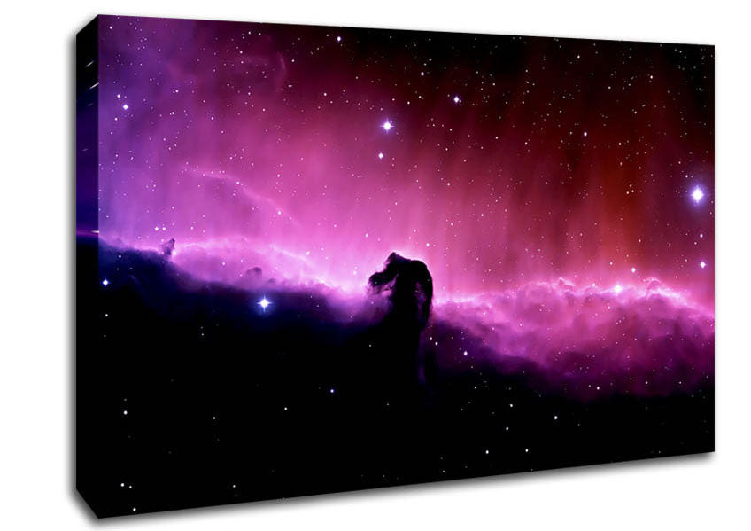 Pink Horsehead Nebula Canvas Wall Art