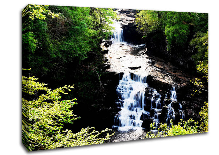 Forest Waterfall Gush Canvas Wall Art
