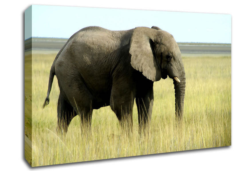 African Elephant Namibia Canvas Wall Art