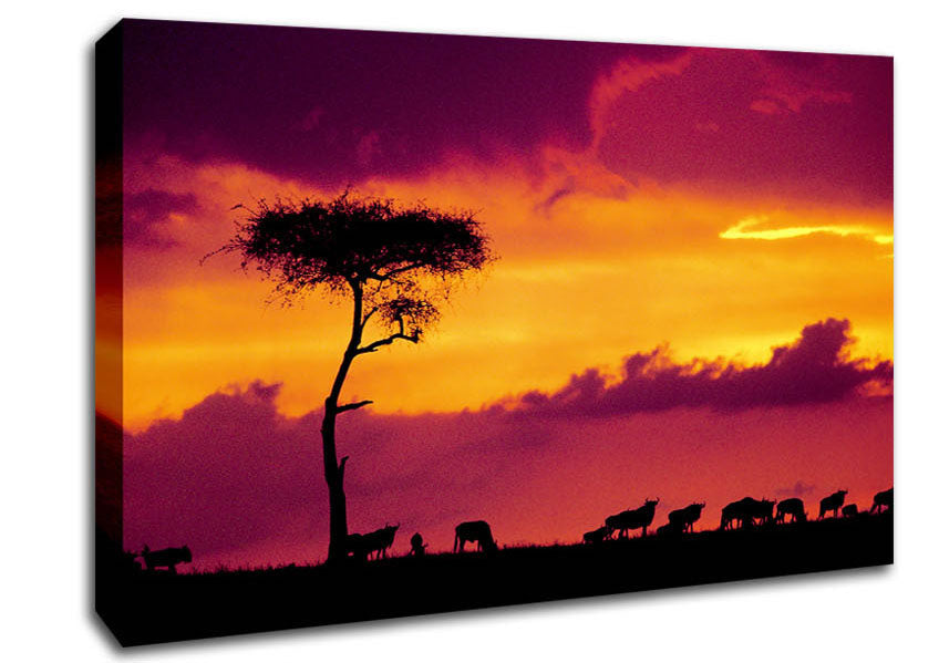 African Safari Sunset Canvas Wall Art