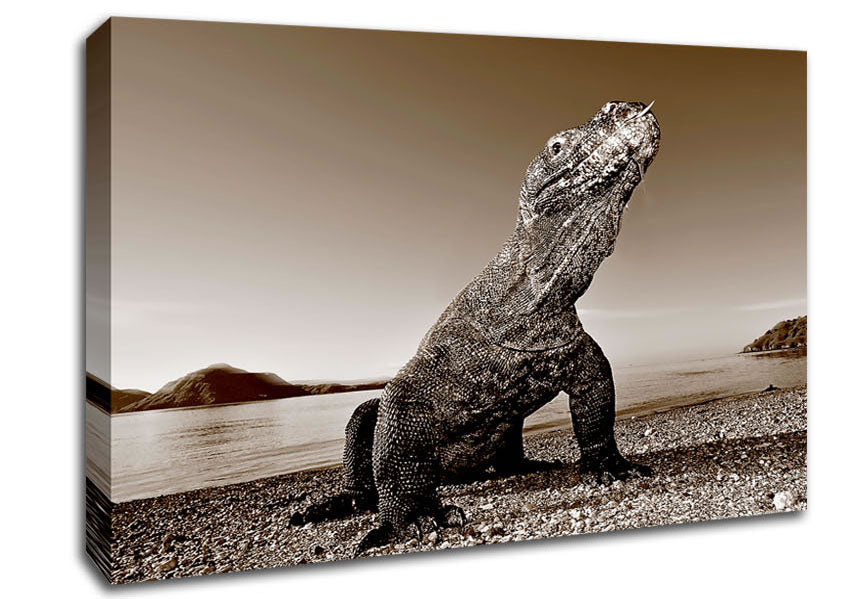 Beach Komodo Dragon Canvas Wall Art