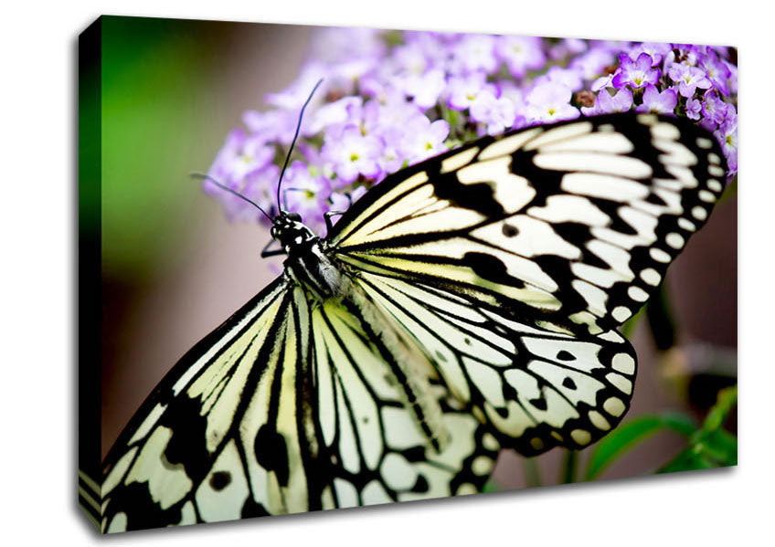Butterfly Pattern Canvas Wall Art
