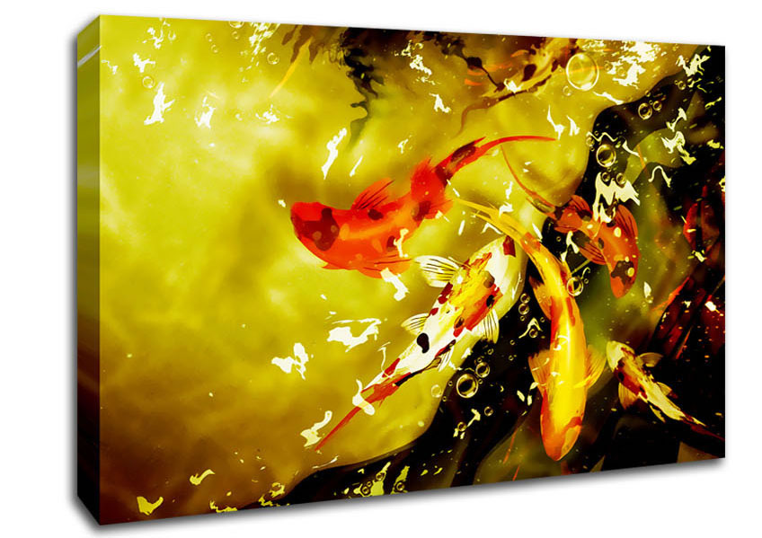 Carp Play Canvas Wall Art