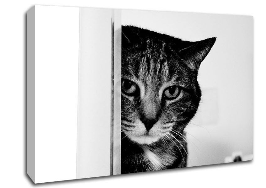 Cat Beauty Canvas Wall Art