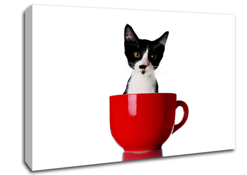 Cat In A Tea Cup Canvas Wall Art