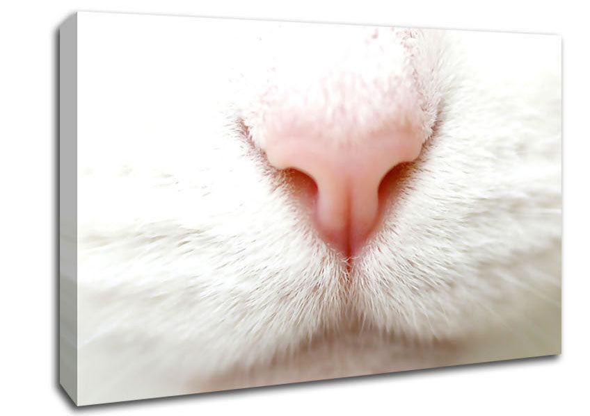Cat Nose 2 Canvas Wall Art