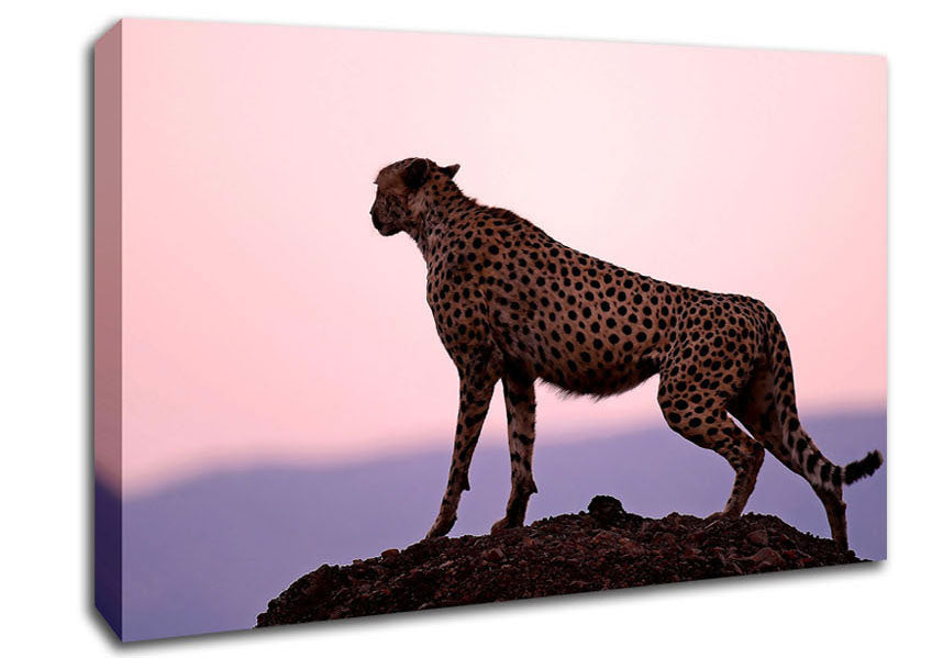 Cheetah Habitat Canvas Wall Art