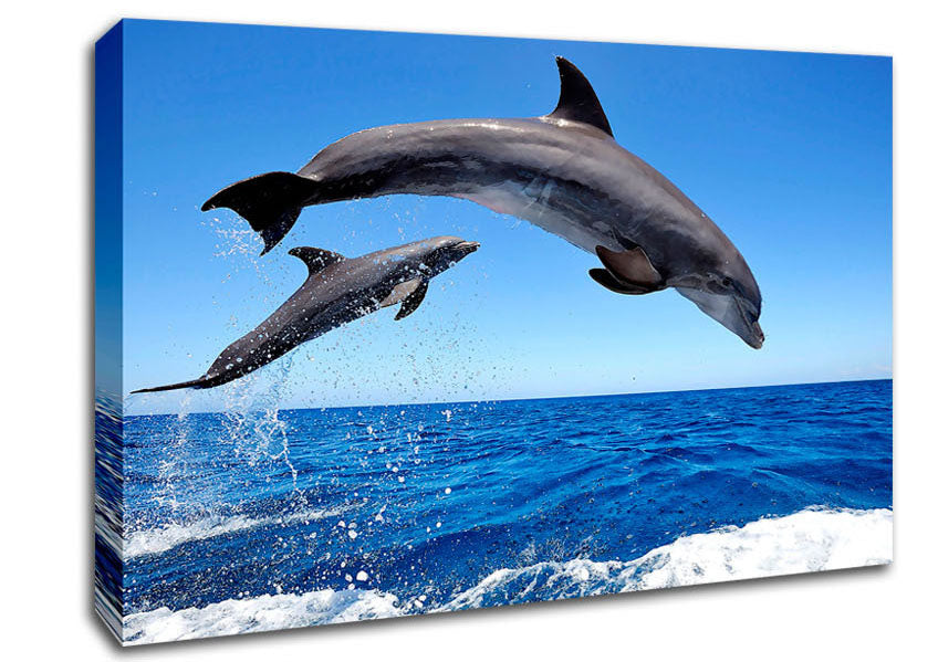 Common Bottlenose Dolphins Canvas Wall Art