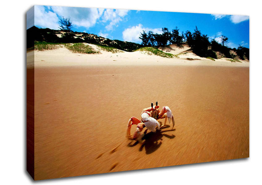 Crab Paradise Canvas Wall Art