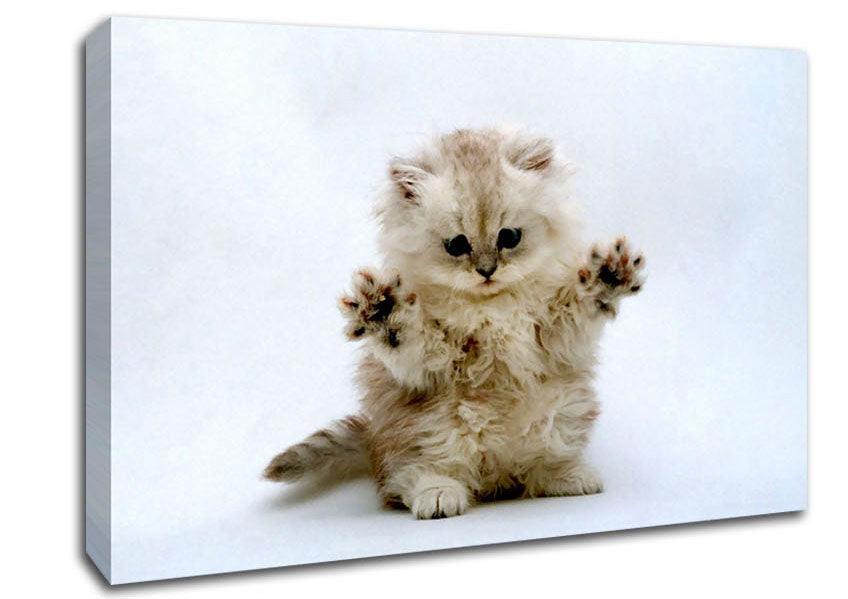 Cute Kitten Paws Canvas Wall Art