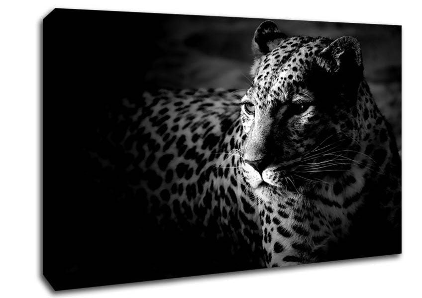 Dark Cheetah Canvas Wall Art