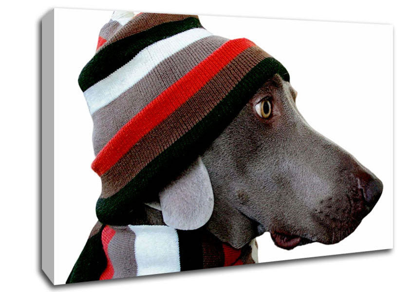 Dog Funny Hat Canvas Wall Art