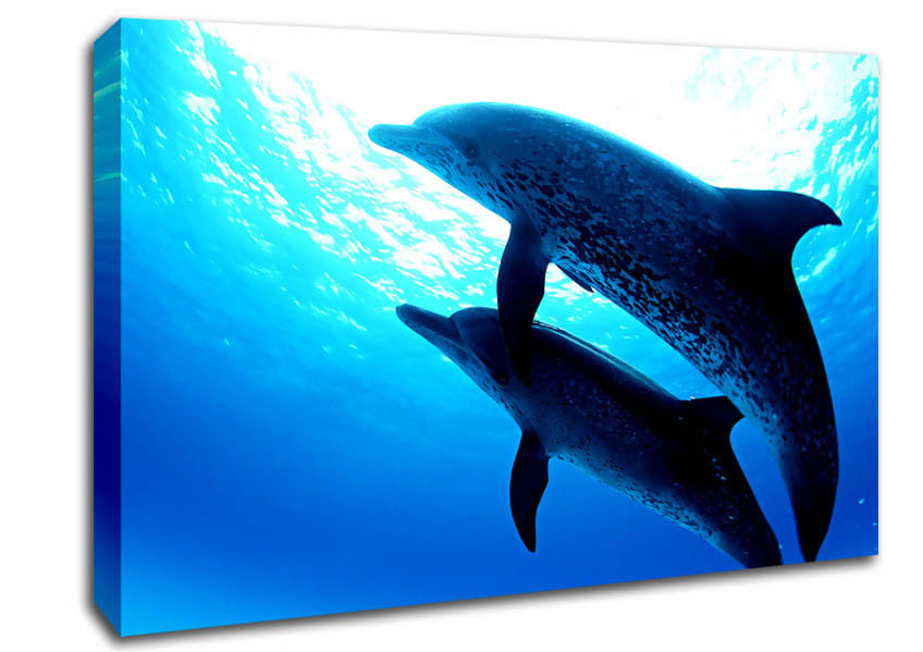 Dolphins Under The Sea Canvas Wall Art