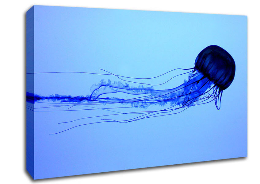 Elegant Jellyfish Canvas Wall Art
