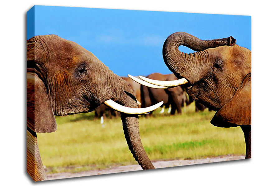 Elephant Chat Canvas Wall Art