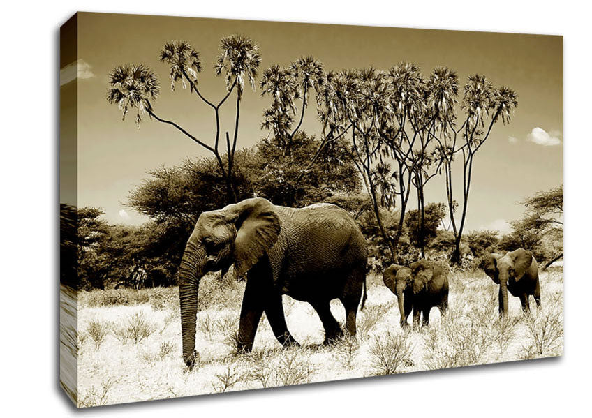 Elephant Family Canvas Wall Art