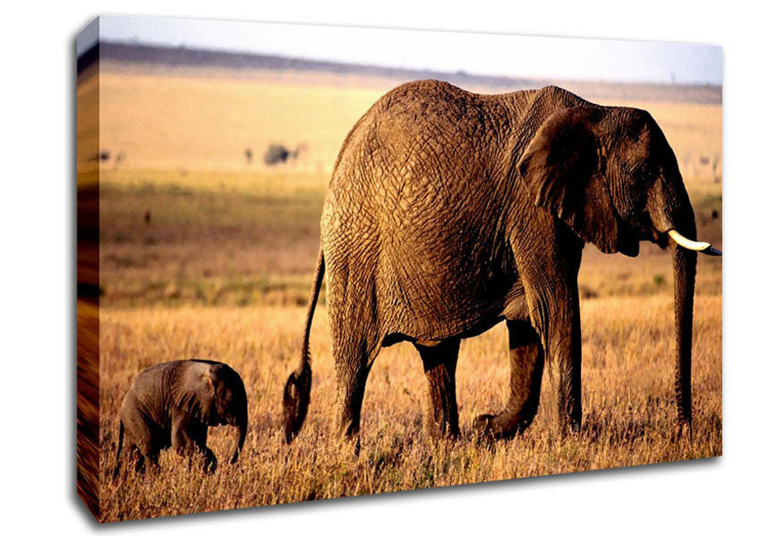 Elephant Mother And Baby Canvas Wall Art