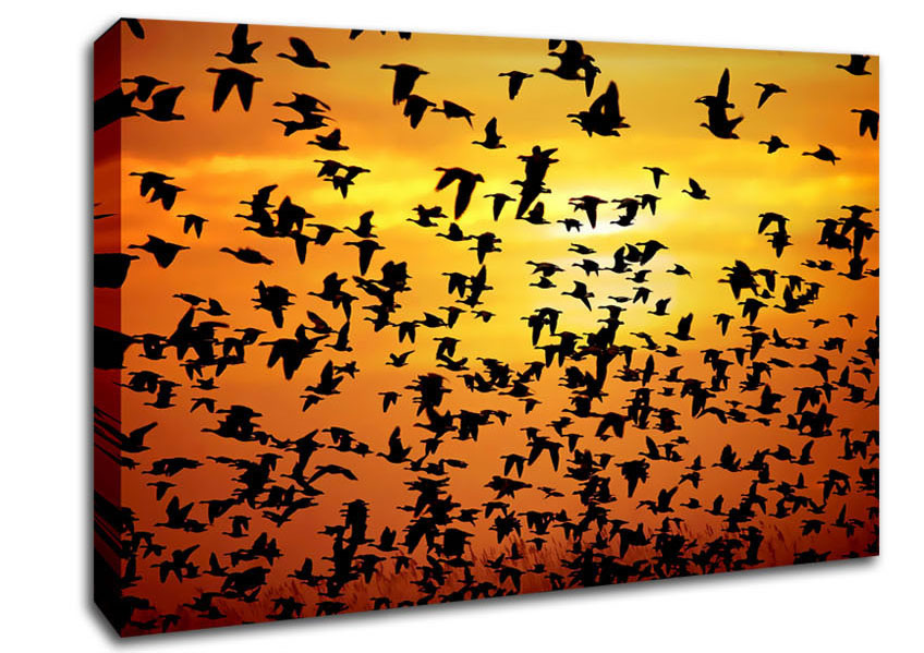 Flight Of The Golden Birds Canvas Wall Art