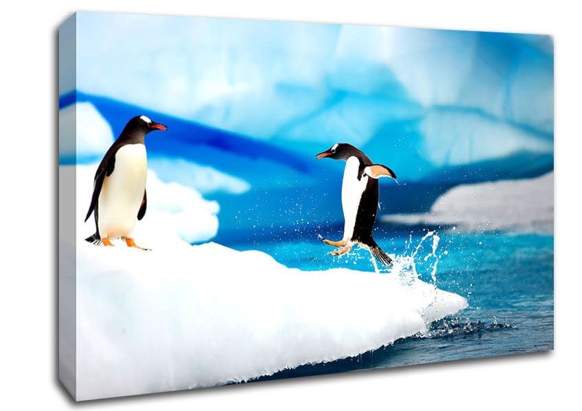 Gentoo Penguins Antarctica Canvas Wall Art