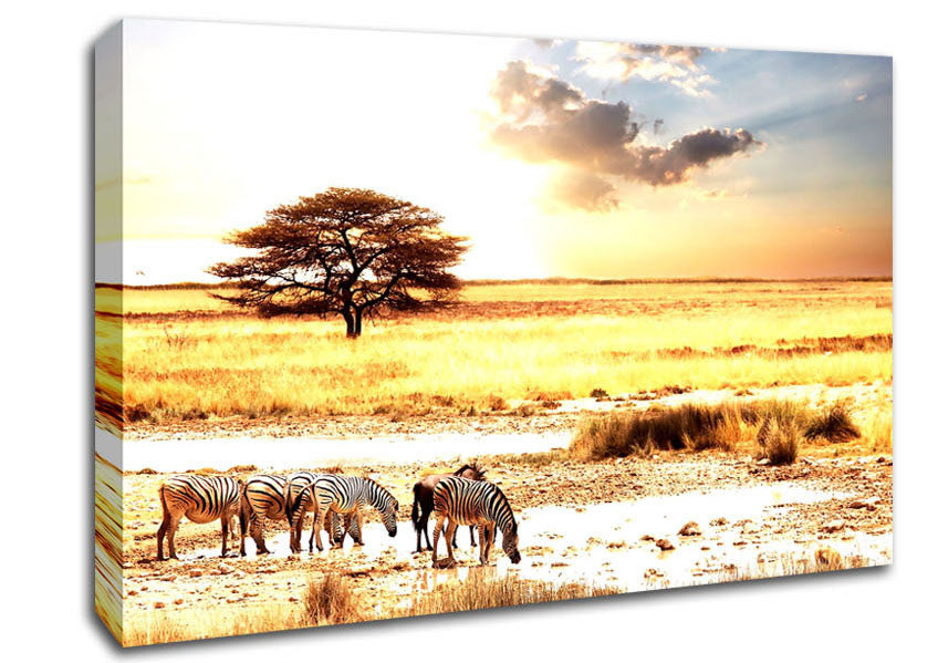 Herd Of Zebras Canvas Wall Art