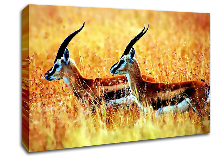 In The Wild Canvas Wall Art