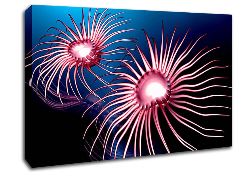 Jellyfish Swirl Canvas Wall Art