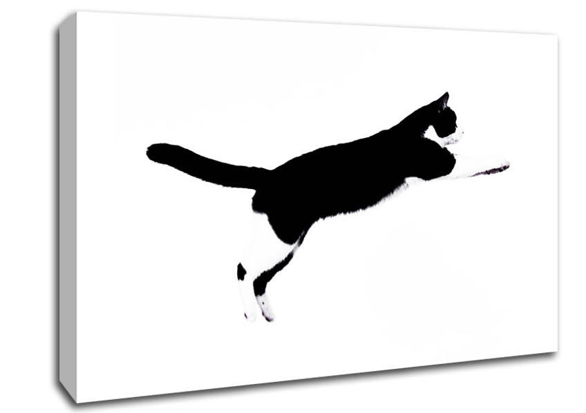 Jumping Cat Canvas Wall Art