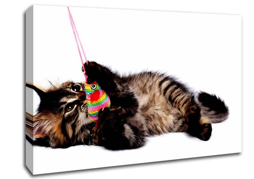 Kitten Play Canvas Wall Art
