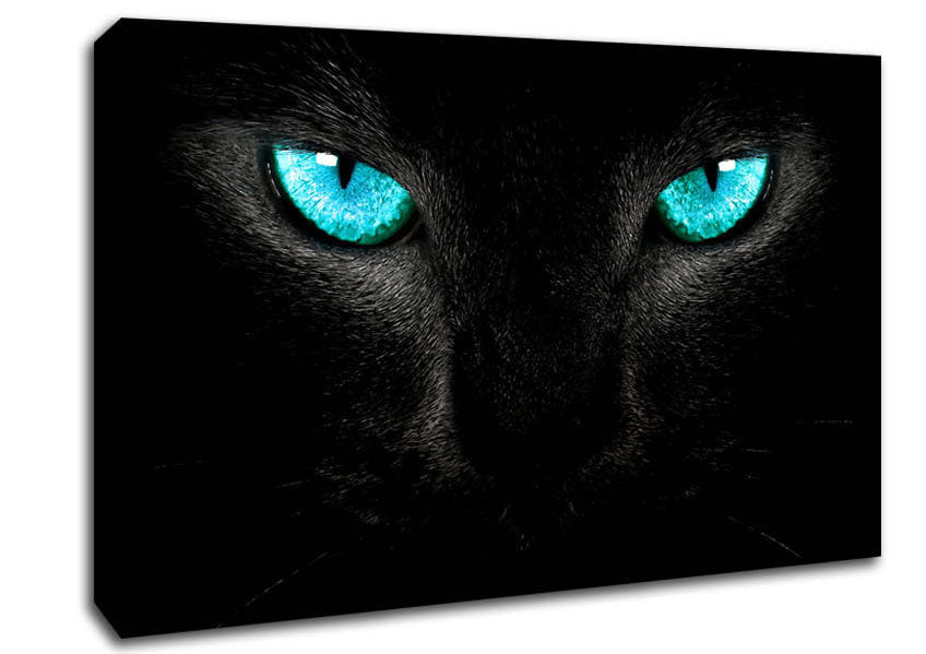 Blue Eyes Cat Canvas Wall Art