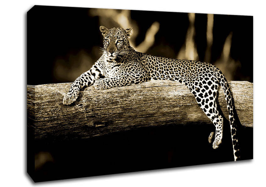 Leopard Lazy Days Canvas Wall Art