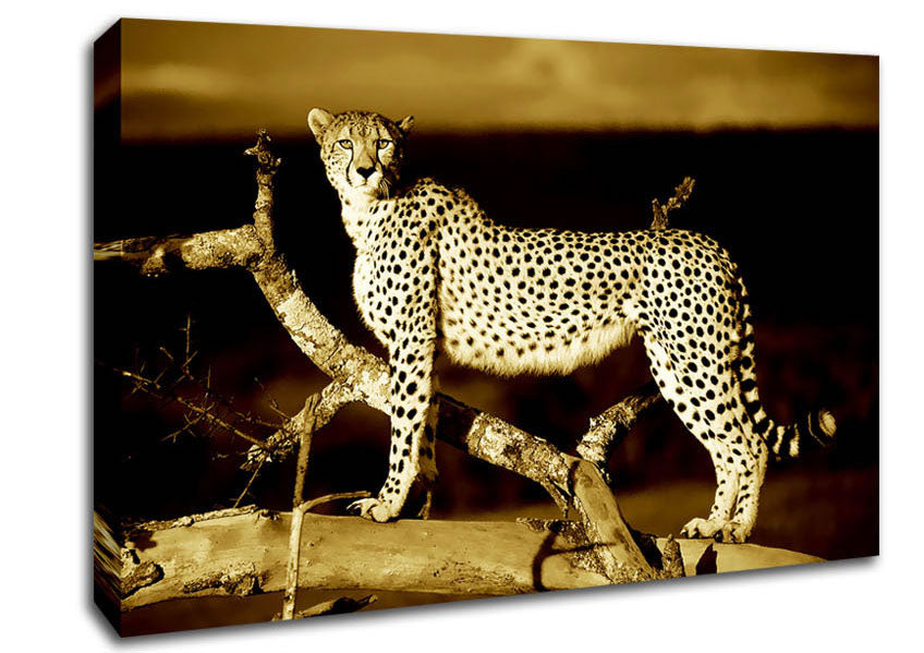 Leopard Perch Sepia Canvas Wall Art