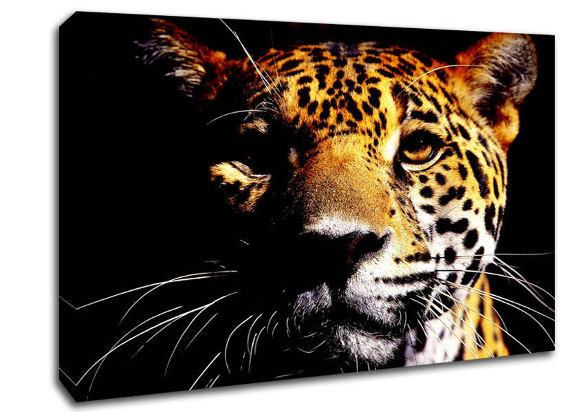 Leopard Pray Canvas Wall Art