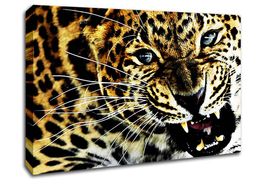 Leopard Roar Canvas Wall Art