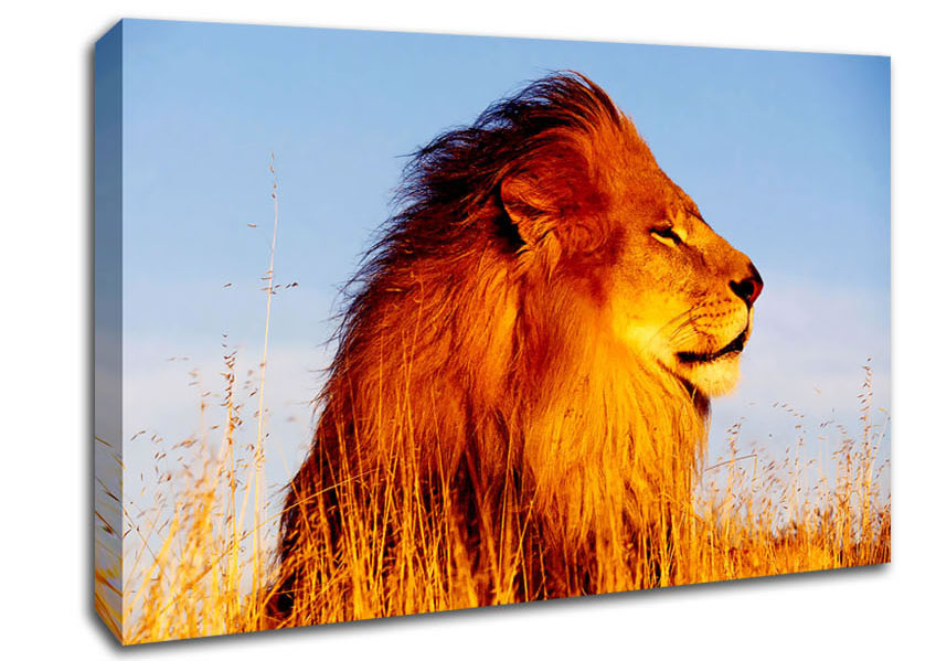 Lion On Watch Canvas Wall Art