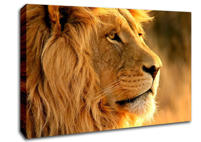 Lion Canvas Wall Art