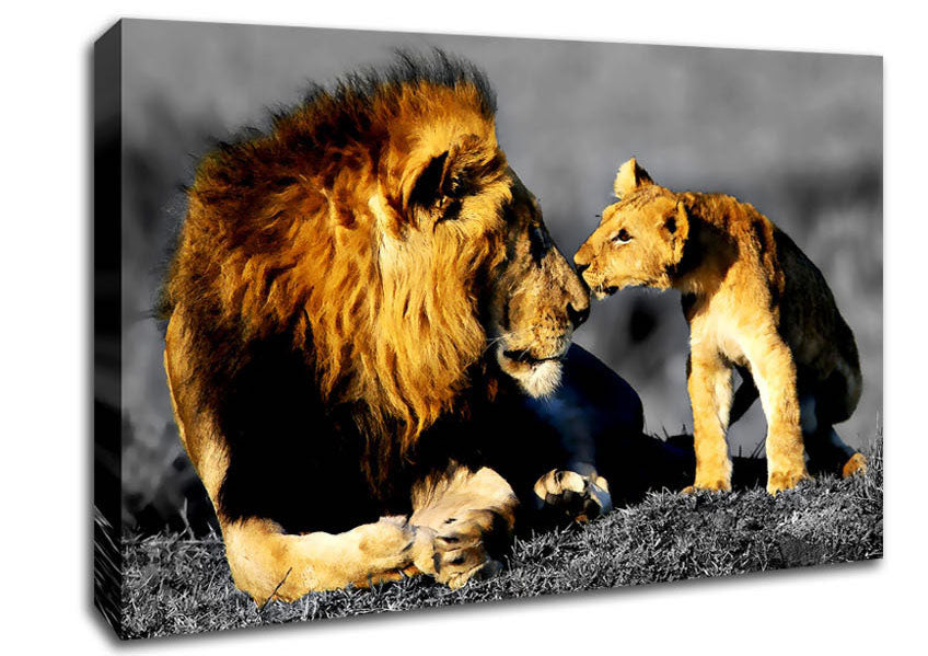 Lions Family Pride Canvas Wall Art