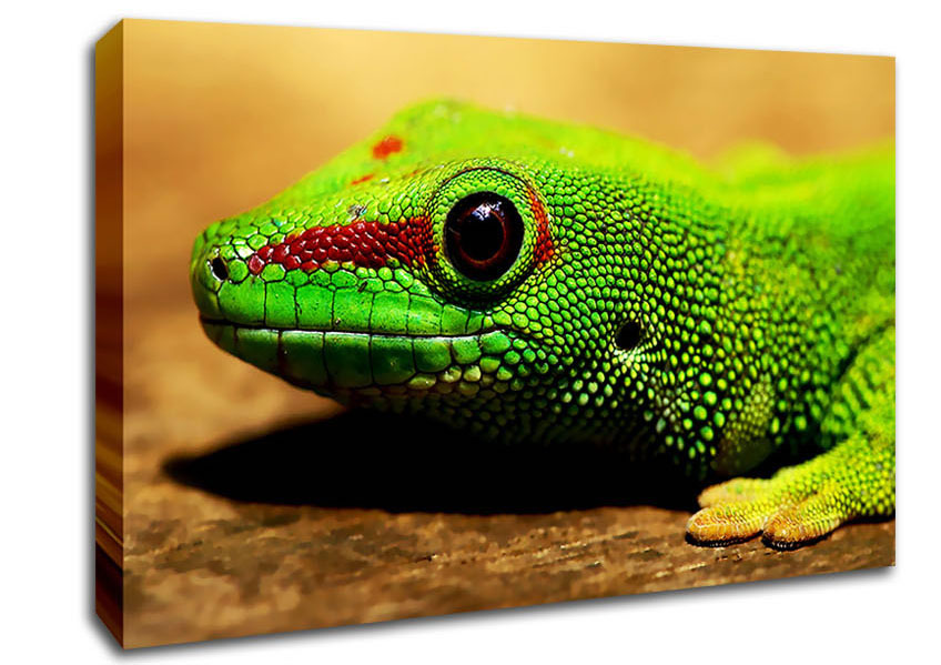 Lizard Face Canvas Wall Art