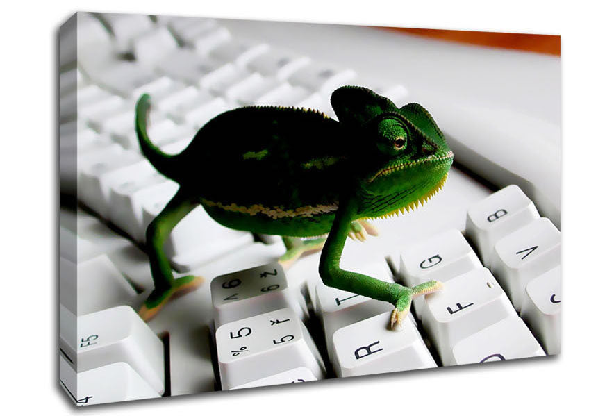 Lizard Keyboard Canvas Wall Art