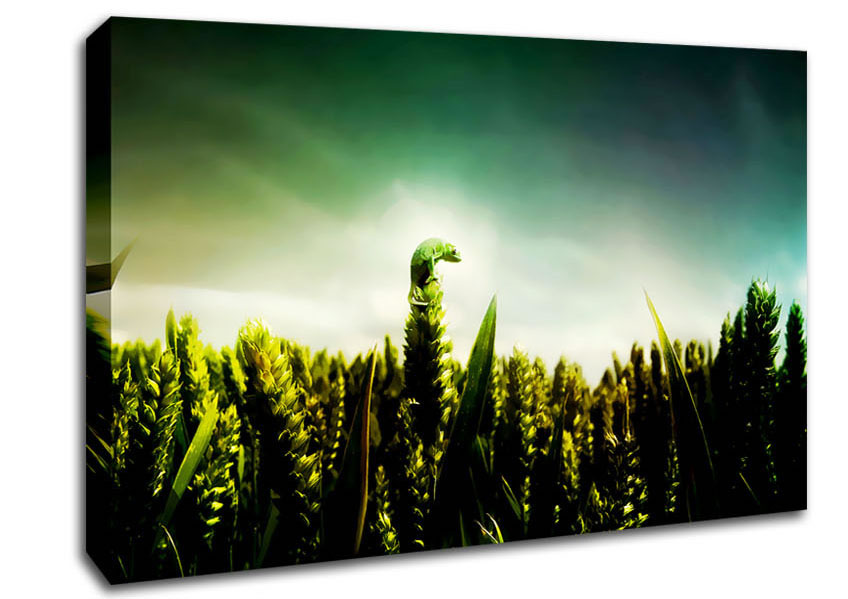 Lizard Perch Canvas Wall Art