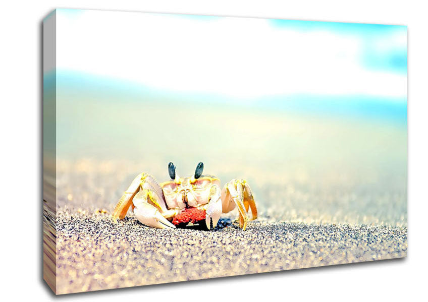 Lonely Crab Canvas Wall Art