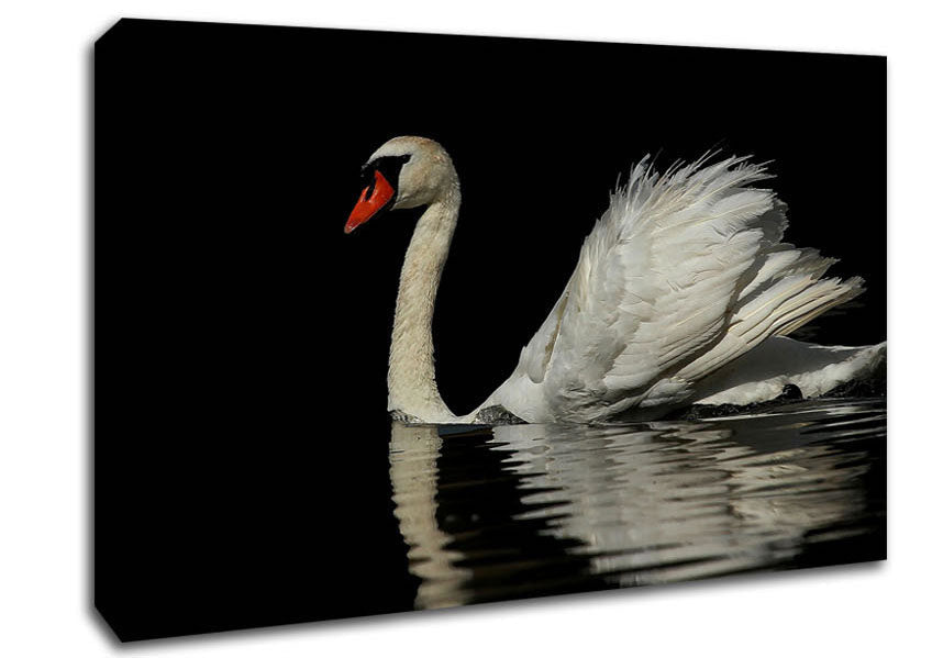 Lonely Cruiser Canvas Wall Art