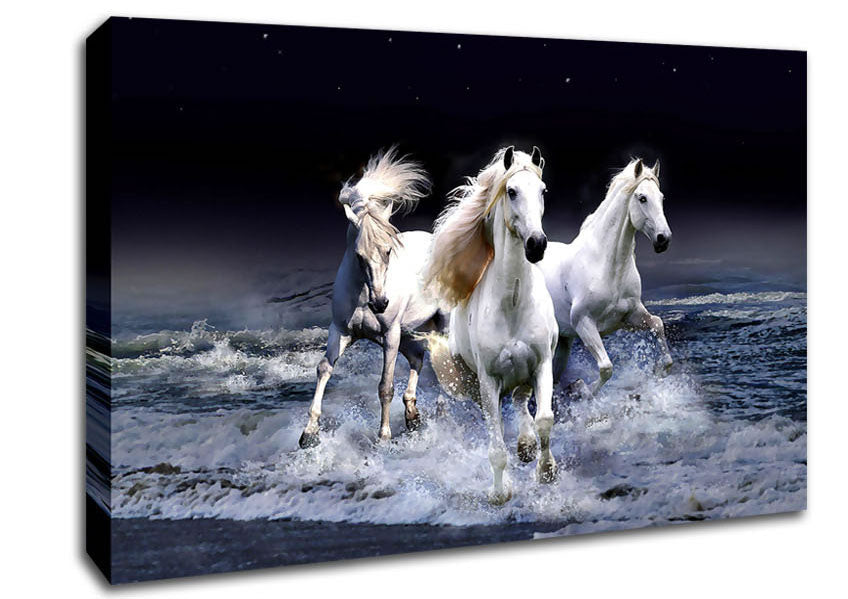 Mystic Horses Canvas Wall Art