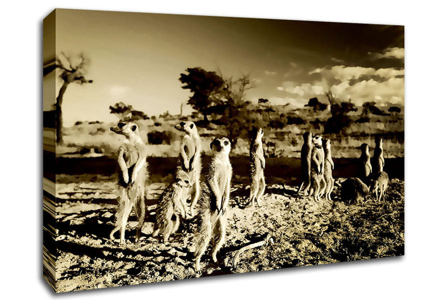 Noisy Meerkats Canvas Wall Art
