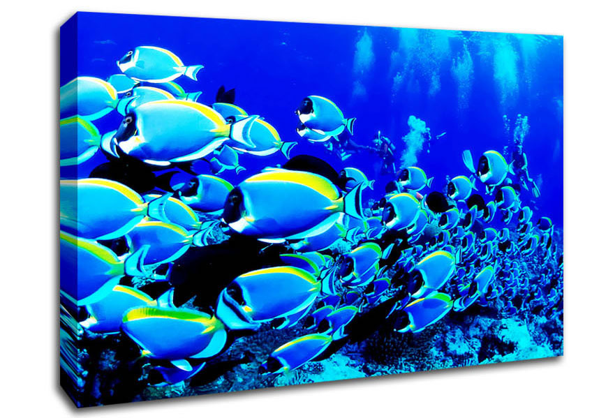 Oceans Glory Canvas Wall Art