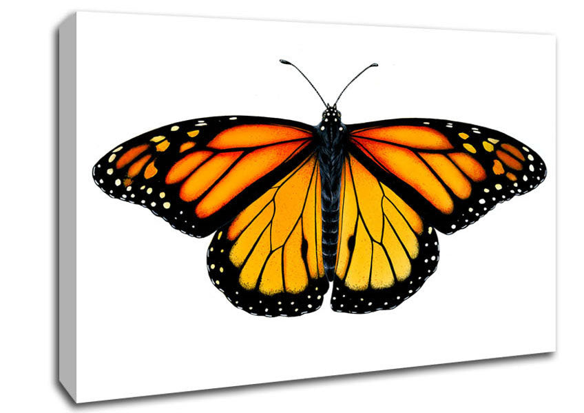 Orange Butterfly Wings Canvas Wall Art