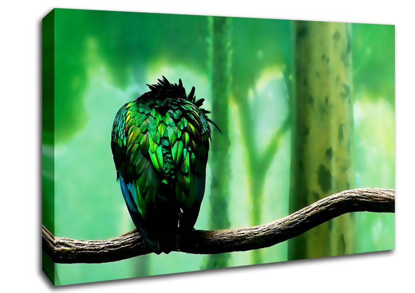 Parrot Perch Canvas Wall Art