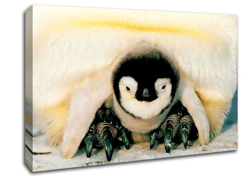 Penguin Love Canvas Wall Art